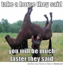 take_a_horse_they_said_540